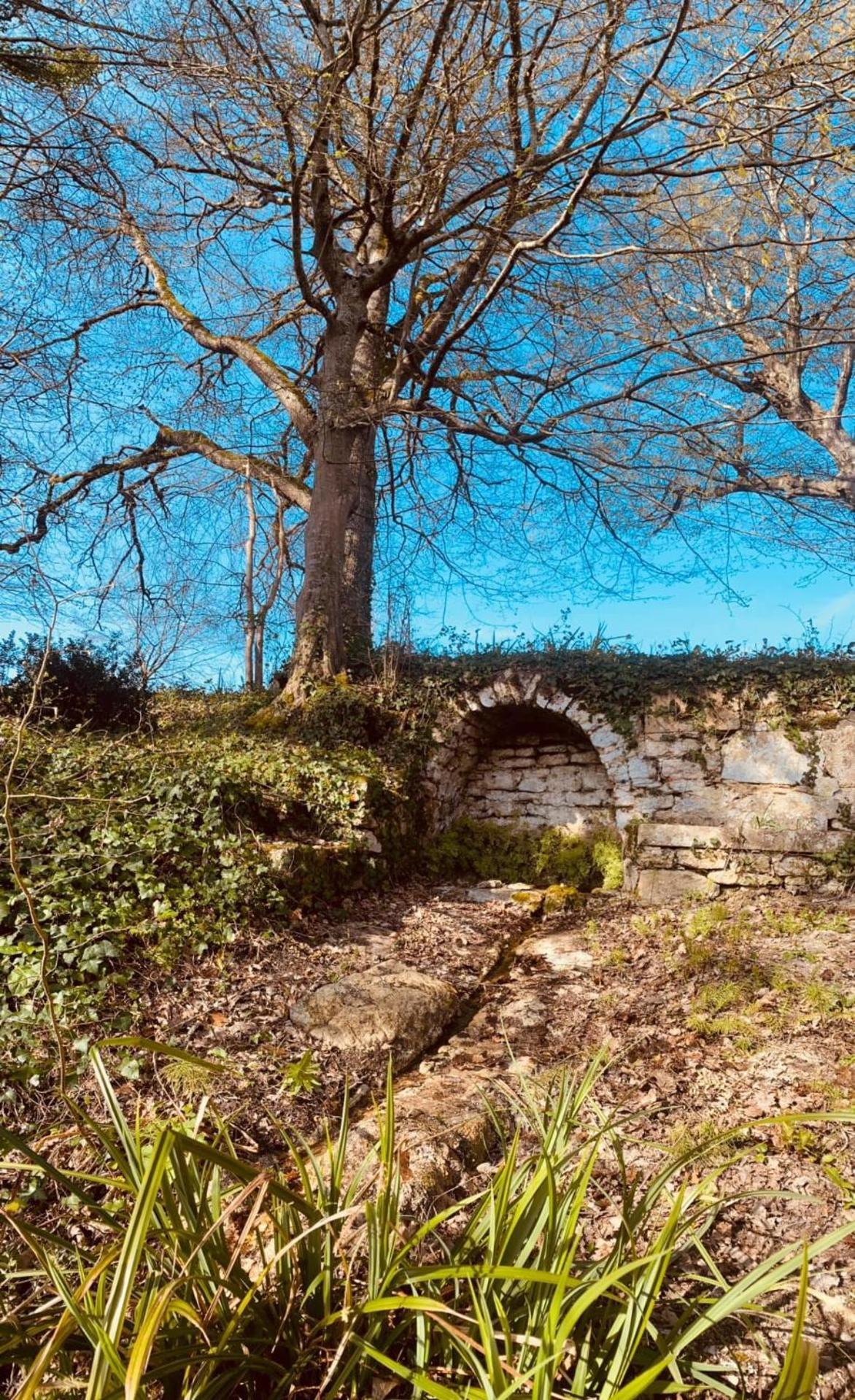 Beaulieu Saint Come Bagian luar foto