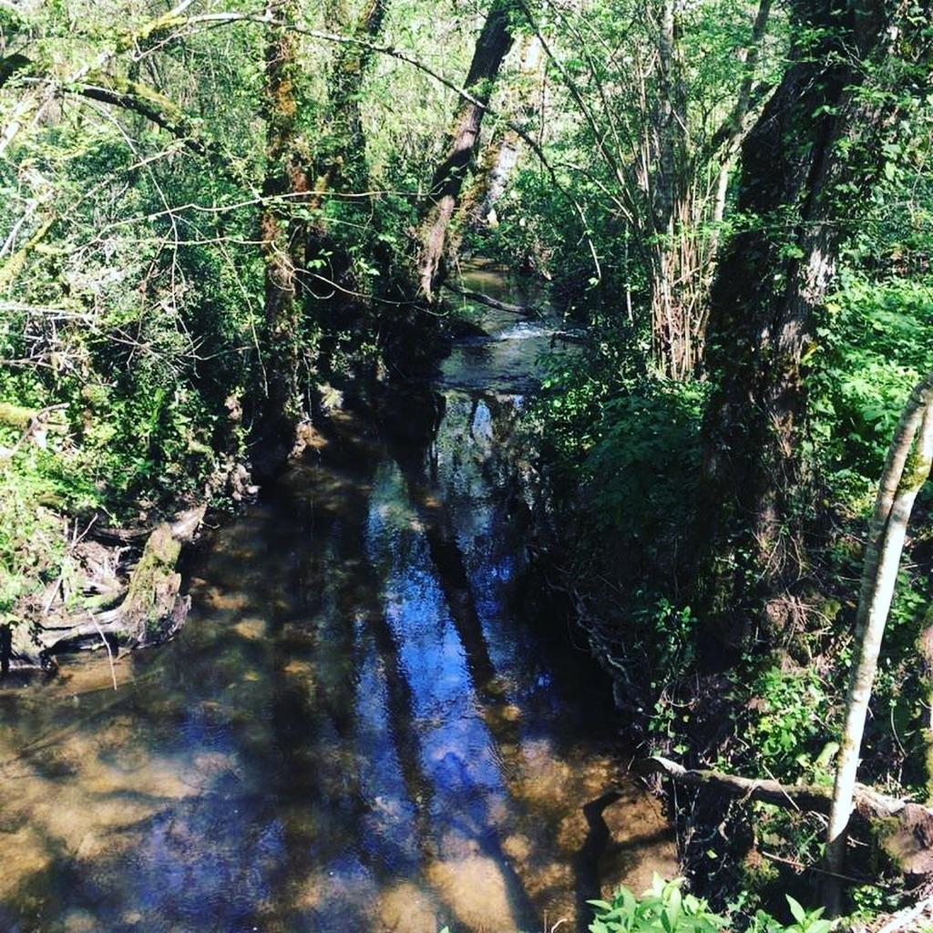 Beaulieu Saint Come Bagian luar foto